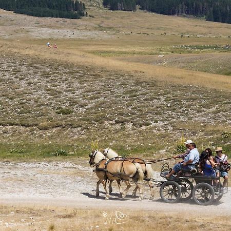 Alloggio Del Fiume - Le Vecchie Vasche Scoppito Экстерьер фото